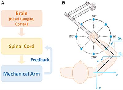 Reward Based Motor Adaptation Mediated by Basal Ganglia